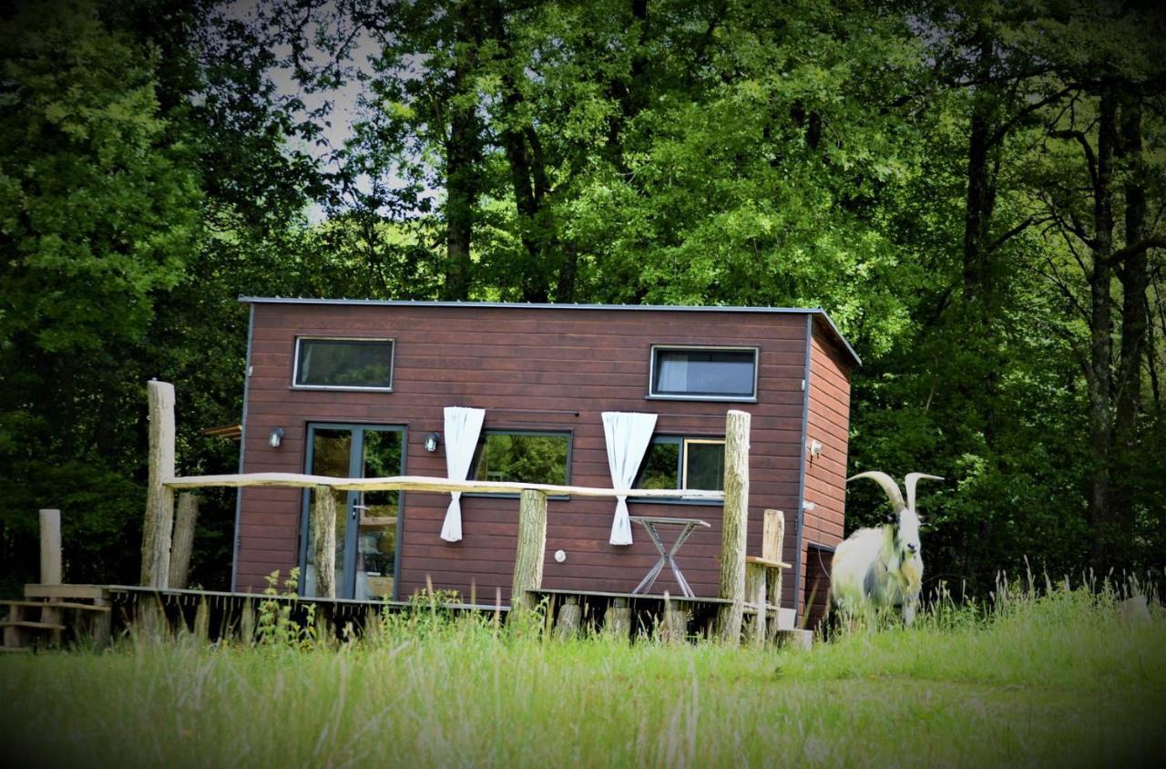 Saint-BazileLa Tiny House Terra Nostraアパートメント エクステリア 写真